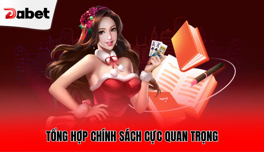 tong-hop-chinh-sach-cuc-quan-trong